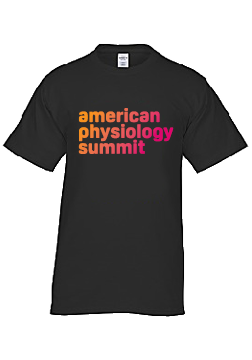 Summit T-shirt
